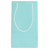 Light Turquoise Small Gift Bag Klein Cadeauzakje (Voorkant)