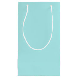 Light Turquoise Small Gift Bag Klein Cadeauzakje