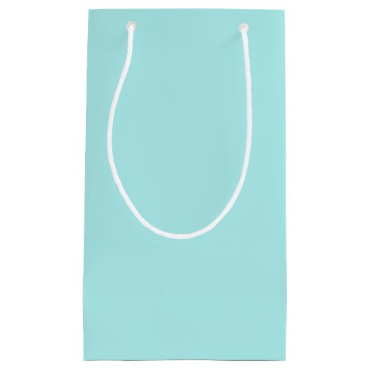 Light Turquoise Small Gift Bag Klein Cadeauzakje (Voorkant)