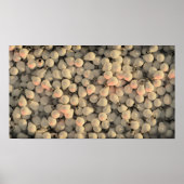 Lightbulb Poster (Voorkant)