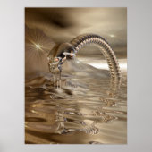 Lightcatcher Poster (Voorkant)