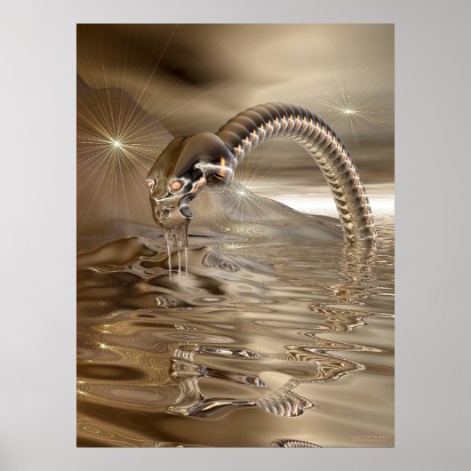 Lightcatcher Poster (Voorkant)
