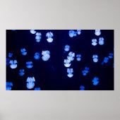 LIGHTED LANTERNS POSTER (Voorkant)