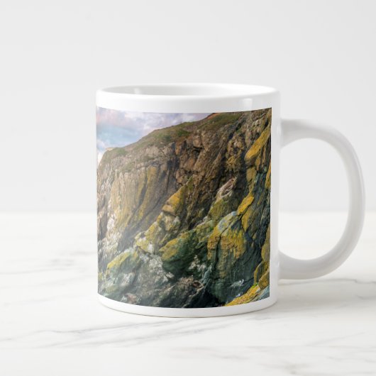 Lighthouses Baily Lighthouse Dublin, Ierland Grote Koffiekop (Rechts)