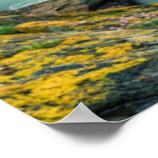 Lighthouses Baily Lighthouse Dublin, Ierland Poster (Hoek)