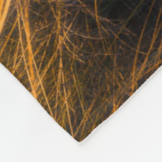 Lighthouses Big Sable Lighthouse Ludington, MI Fleece Deken (Hoek)