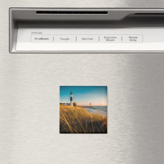 Lighthouses Big Sable Lighthouse Ludington, MI Magneet (Insitu (Vaatwasser))