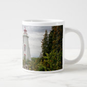 Lighthouses Big Tub Harbour Tobermory Ontario Grote Koffiekop (Rechts)