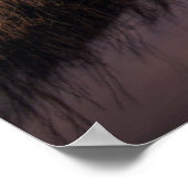 Lighthouses | Bodie Island Outerbanks NC Poster (Hoek)