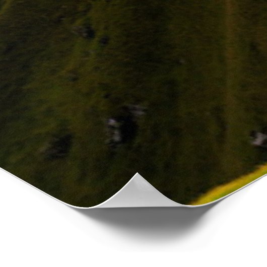 Lighthouses | Faroe Islands Denmark Poster (Hoek)