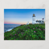 Lighthouses | Lighthouse Bristol Maine Briefkaart (Voorkant)