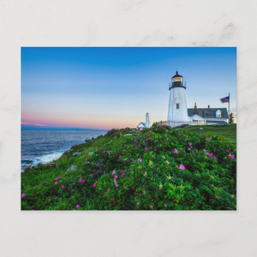 Lighthouses | Lighthouse Bristol Maine Briefkaart (Voorkant)