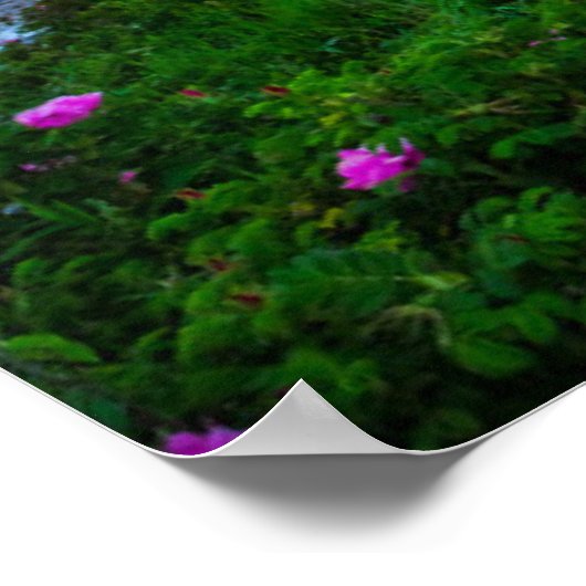 Lighthouses | Lighthouse Bristol Maine Poster (Hoek)