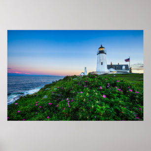 Lighthouses   Lighthouse Bristol Maine Poster