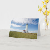 Lighthouses | Lighthouse Massachusetts Kaart (Gele Bloem)