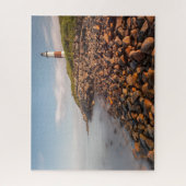 Lighthouses Montauk Point Long Island Legpuzzel (Verticaal)
