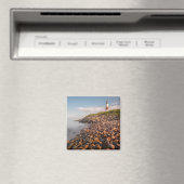 Lighthouses Montauk Point Long Island Magneet (Insitu (Vaatwasser))