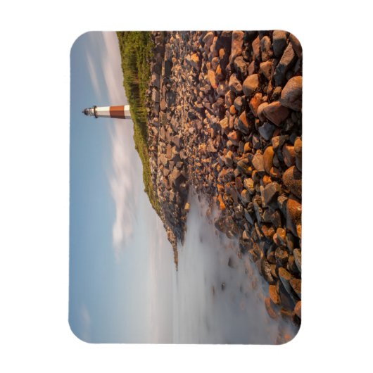 Lighthouses Montauk Point Long Island Magneet (Verticaal)