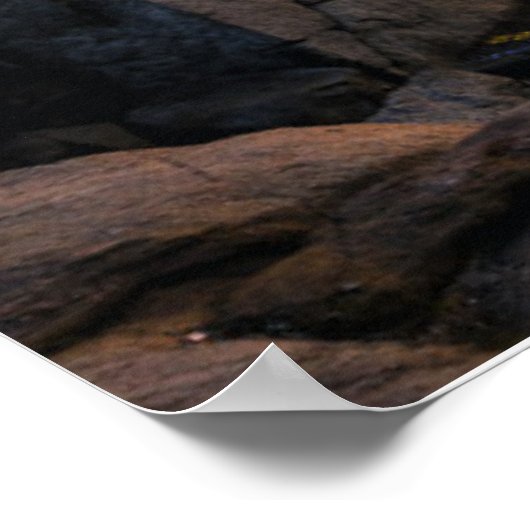 Lighthouses | Nubble Lighthouse Maine Poster (Hoek)