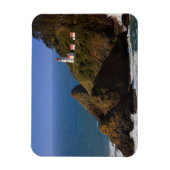 Lighthouses Oregon Coast Lighthouse Magneet (Verticaal)