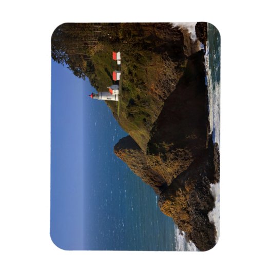 Lighthouses Oregon Coast Lighthouse Magneet (Verticaal)