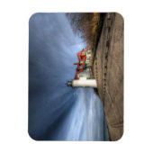 Lighthouses | Point Betsie Lake Michigan Magneet (Verticaal)