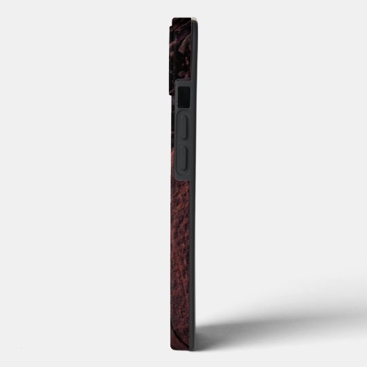 Lighthouses South Portland, Maine Case-Mate iPhone Case (Achterkant / Links)