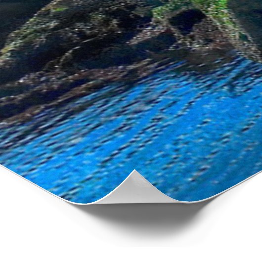 Lighthouses Victoria Harbor Vancouver Island Poster (Hoek)