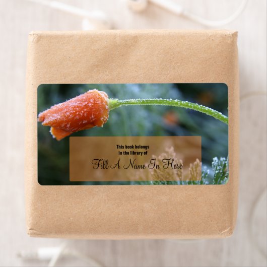 Lightly Frosted Orange California Poppy Etiket (Insitu)