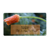Lightly Frosted Orange California Poppy Etiket (Voorkant)