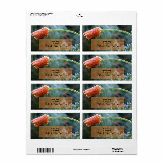 Lightly Frosted Orange California Poppy Etiket (Full Sheet)
