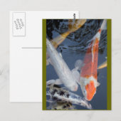 lightner's 043 briefkaart (Voorkant / Achterkant)