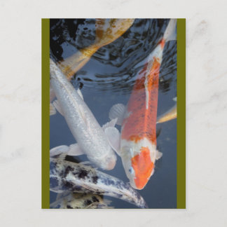 lightner's 043 briefkaart