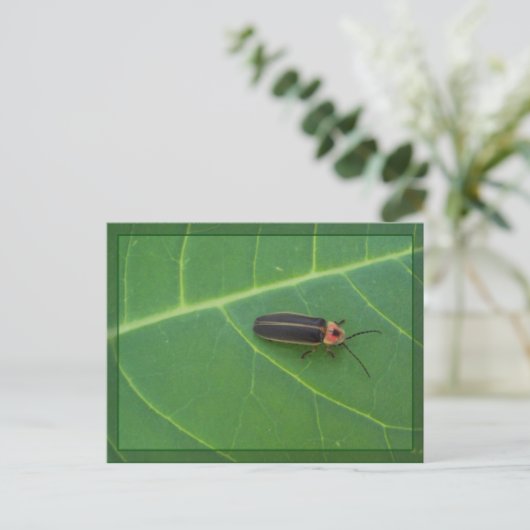 Lightning Bug op Leaf Briefkaart (Staand voorkant)