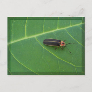 Lightning Bug op Leaf Briefkaart