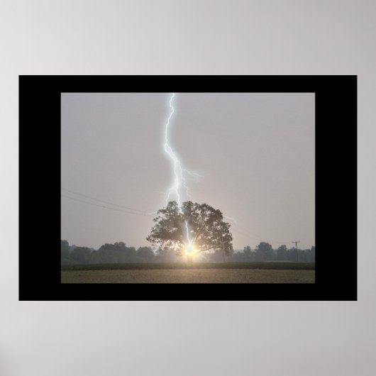 Lightning Strikes Oak Tree Poster (Voorkant)