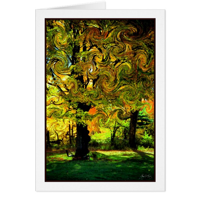 Lightplay in de Leaves (Voorkant)