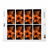 Lightworks Abstract Art Fractal Etiket (Full Sheet)