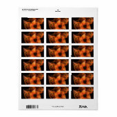 Lightworks Abstracte kunst Etiket (Full Sheet)