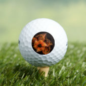 Lightworks Abstracte kunst Golfballen (Insitu Shirt)