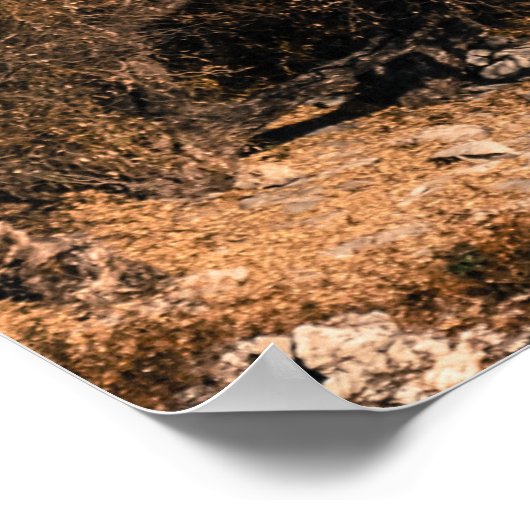 Lijiang, China Poster (Hoek)