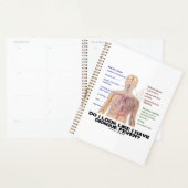 Lijk Ik Wel Op Iemand Met Denguekoorts? (Anatomie) Planner (Display)