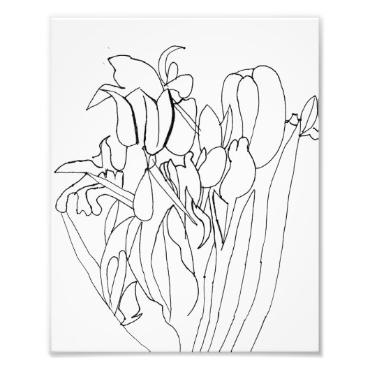 Lijn Bloemen Tekening Print Foto Afdruk (Voorkant)