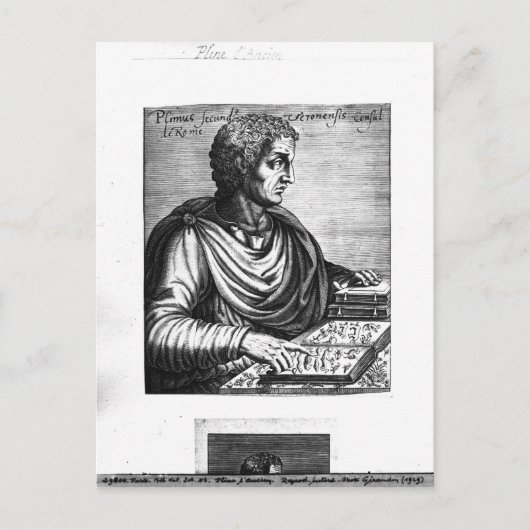 Lijn de Ouder Briefkaart (Voorkant)