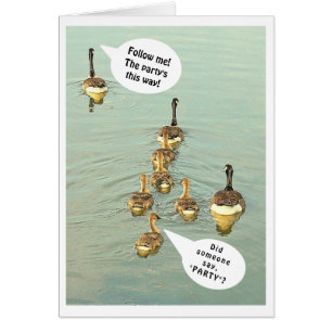 LIJN GEESE/VOLG ME! DE PARTIJ IS DEZE MANIER!