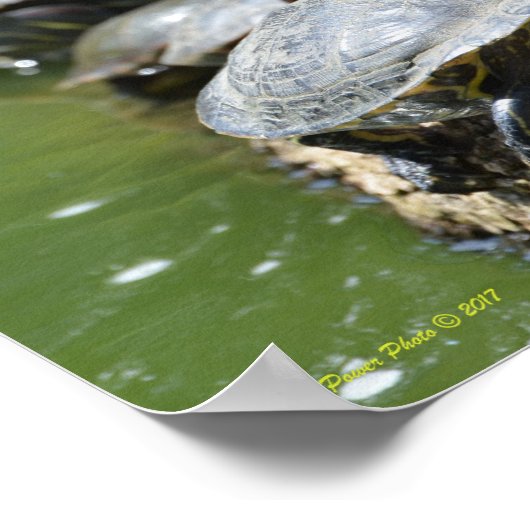 Lijn omhoog de Draaien Poster (Hoek)