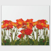 Lijn rode papaver, geïsoleerd, achtergrond, schoon cadeaupapier (Vlak)