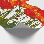 Lijn rode papaver, geïsoleerd, achtergrond, schoon cadeaupapier (Hoek)