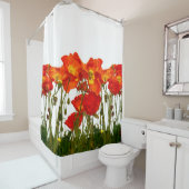 Lijn rode papaver, geïsoleerd, achtergrond, schoon douchegordijn (In situ)