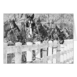 Lijn van Amish Horses Black en white